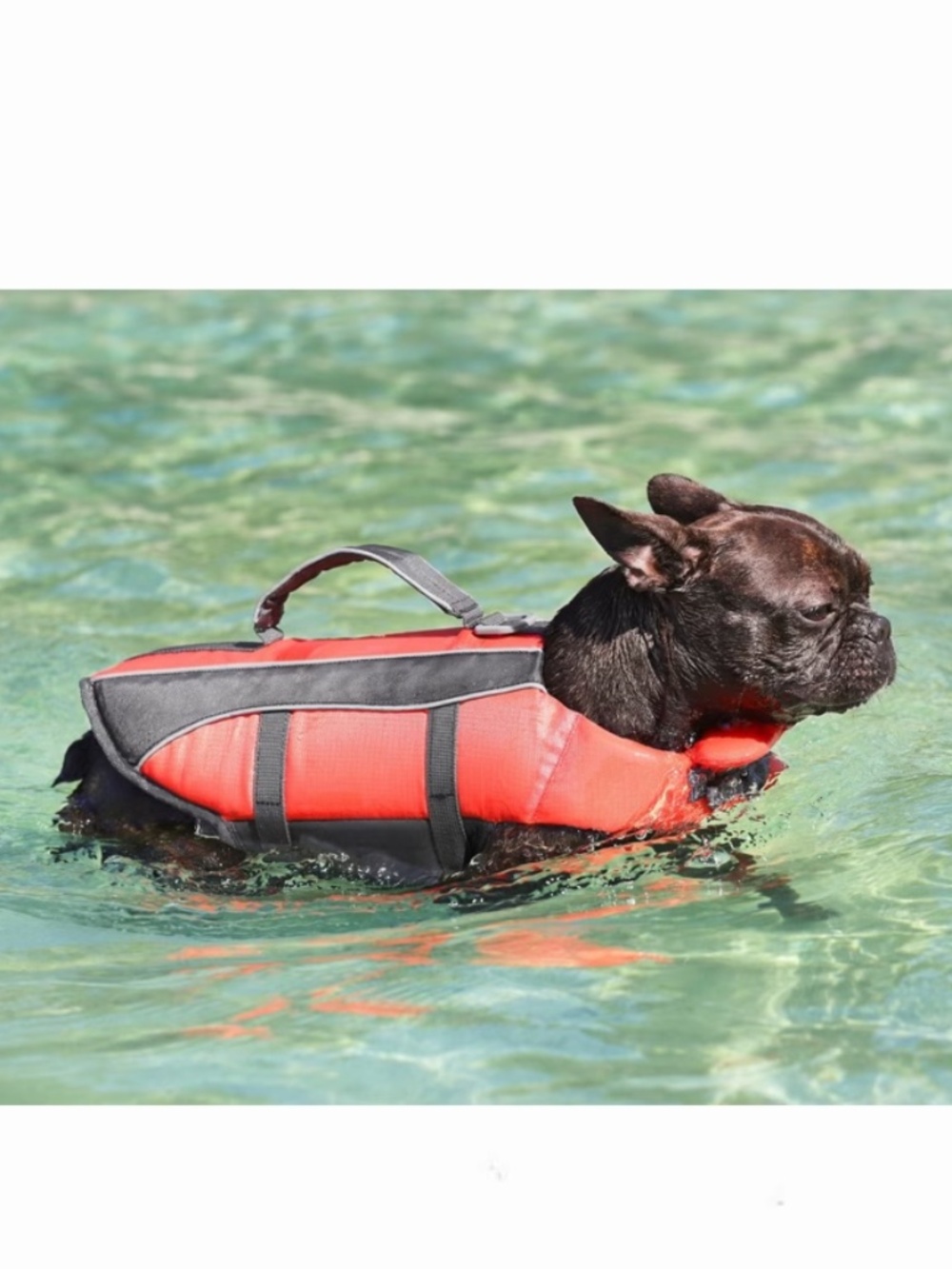 🐶 Frisco Ripstop Dog Life Jacket – Size Small (S) – NWT – Orange & Gray